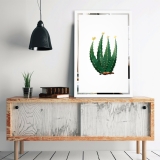 Slika na ogledalu Kaktus Mirrora 69 - 60x40 cm